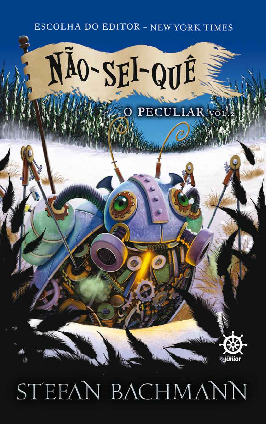 Não-sei-quê (O peculiar Livro 2)