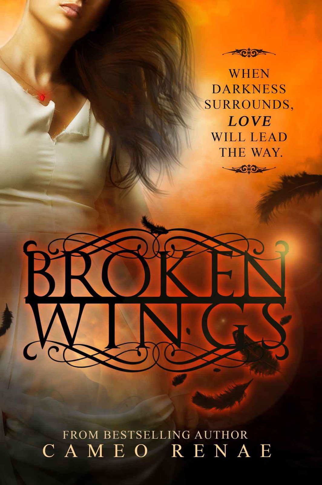 Broken Wings (Hidden Wings #2)