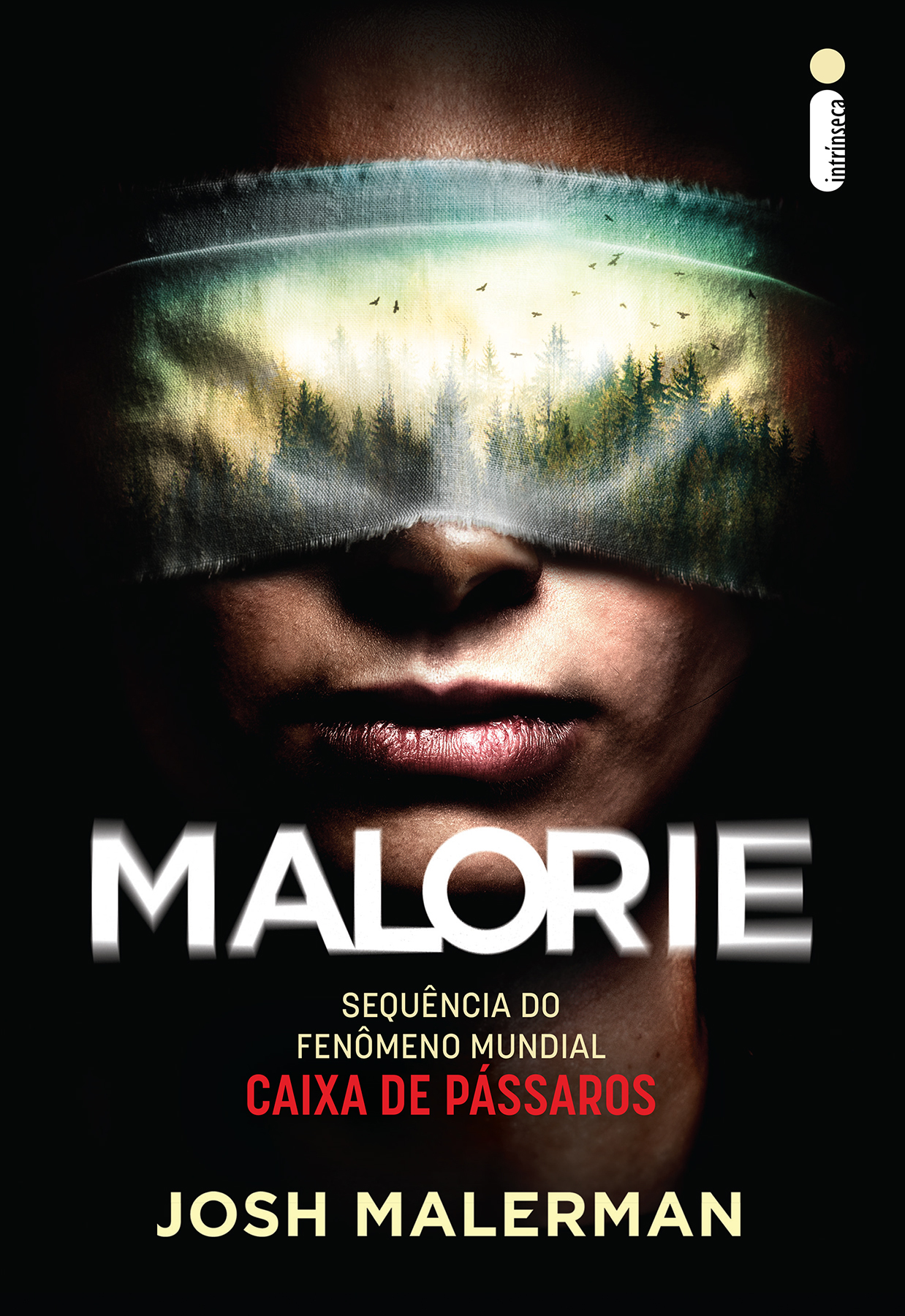 Malorie – Sequência de Caixa de Pássaros