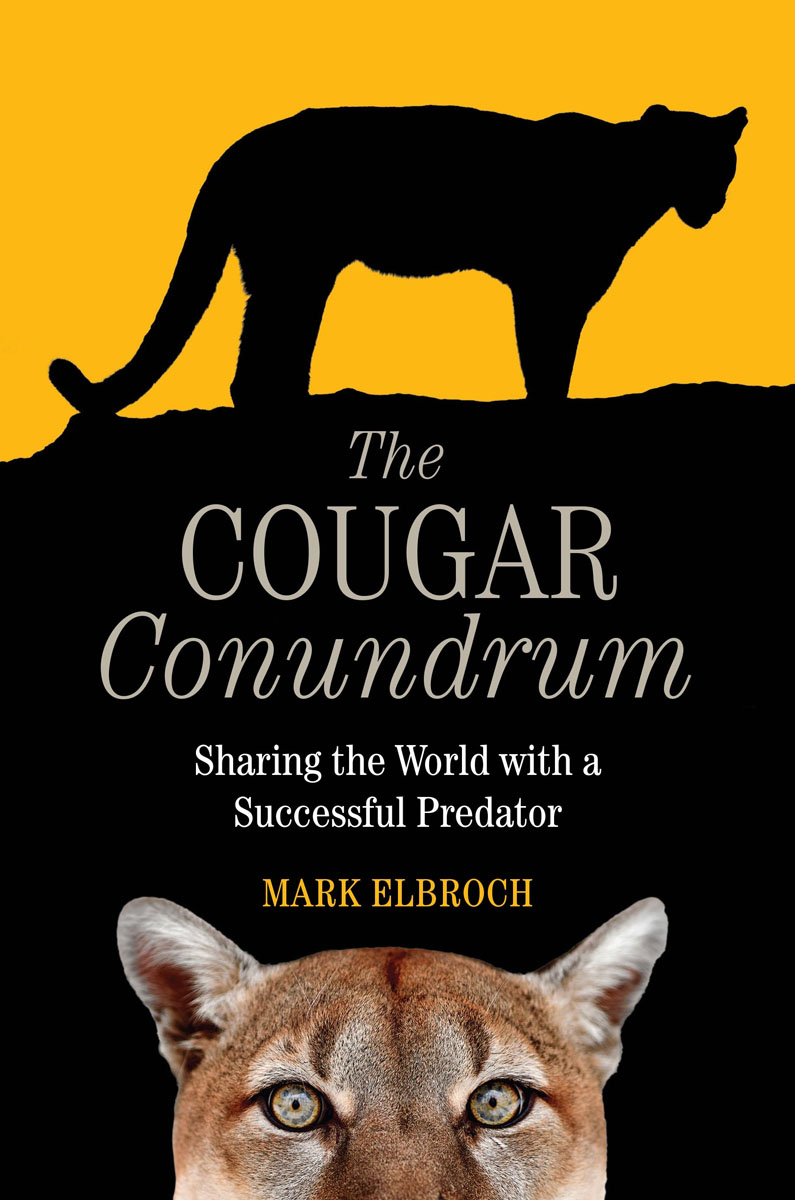 The Cougar Conundrum