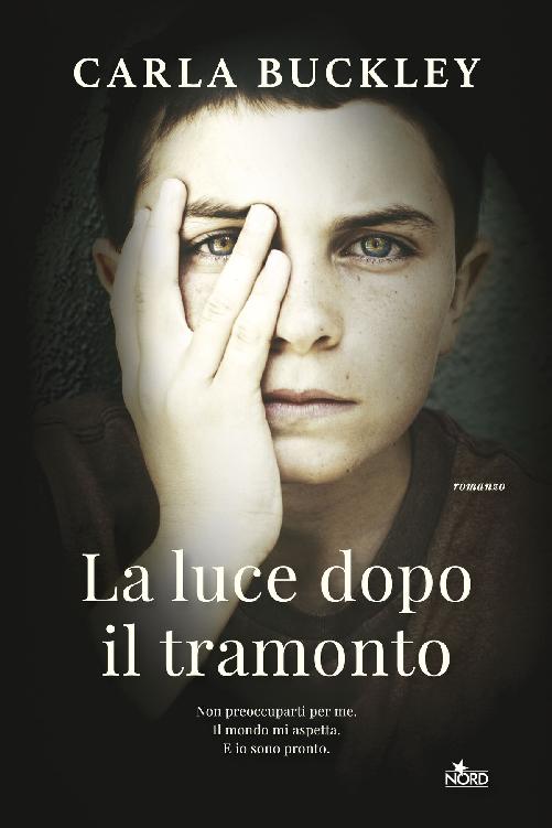 La luce dopo il tramonto (Italian Edition)