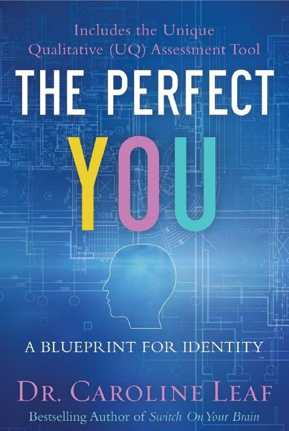 The Perfect You: A Blueprint for Identity