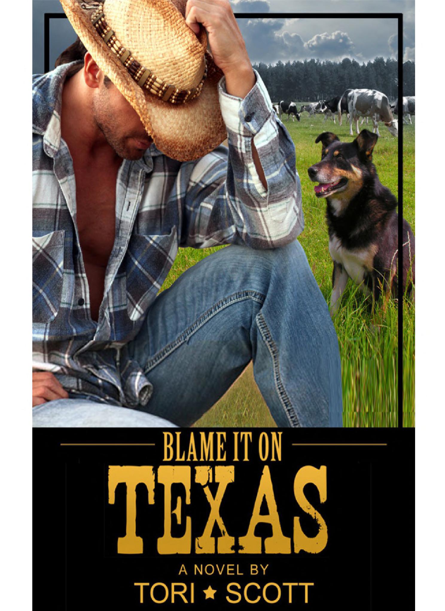 Blame It on Texas