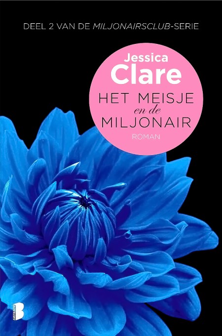 Het Meisje en De Miljonair