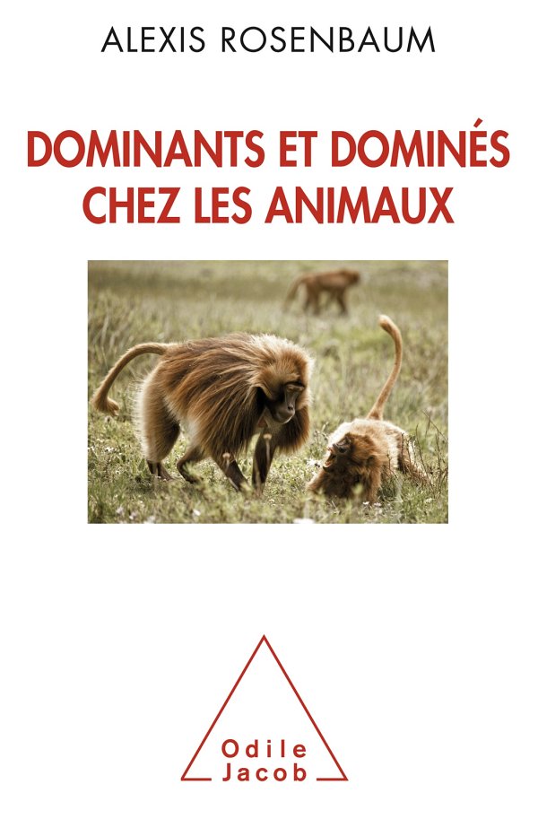 Dominants et dominés chez les animaux