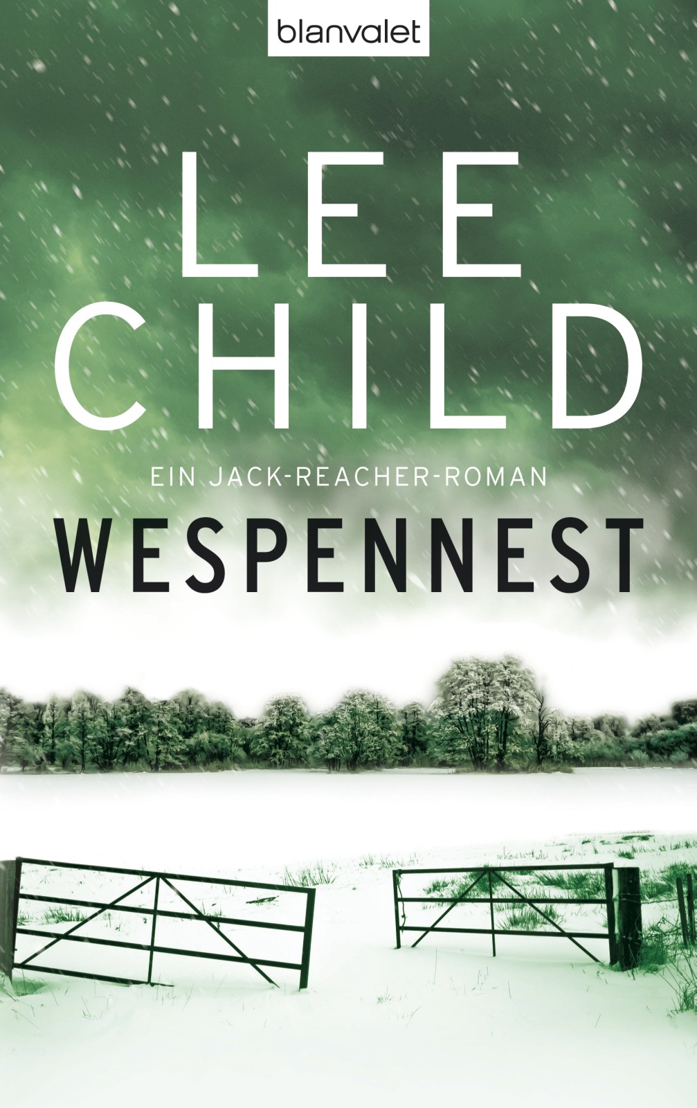 Jack Reacher 15 - Wespennest