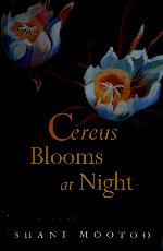 Cereus Blooms at Night