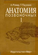 Анатомия позвоночных