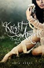 Knight Angels: Book of Love (Book One)