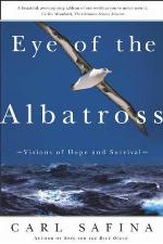Eye of the Albatross: Visions of Hope and Survival