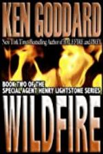 Wildfire (Special Agent Henry Lightstone Series Book 2)