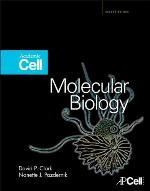 Molecular Biology