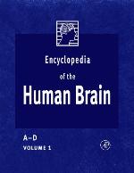 Encyclopedia of the Human Brain