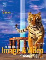 Handbook of Image and Video Processing (Communications, Networking and Multimedia)