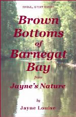 Brown Bottoms of Barnegat Bay (Jayne's Nature (e-text editions))