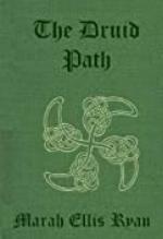 The Druid Path