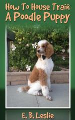 How To House Train A Poodle Puppy