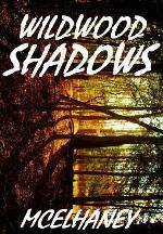 Wildwood Shadows: a novel of time travel in ancient North America