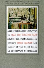 What the Twilight Says: Essays