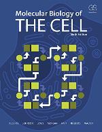 Molecular Biology of the Cell