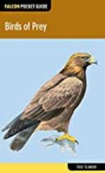 Birds of Prey (Falcon Pocket Guides)