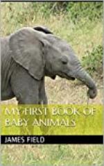 My First Book of Baby Animals