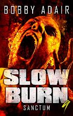 Slow Burn: Sanctum, Book 9