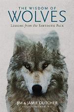 The Wisdom of Wolves: Lessons From the Sawtooth Pack