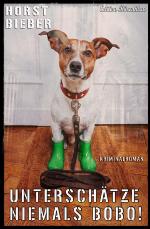 Unterschätze niemals Bobo: Kriminalroman (German Edition)