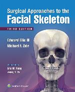 Surgical Approaches to the Facial Skeleton