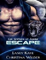 CAT SHIFTERS OF AAIDAR: ESCAPE