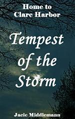 Tempest of the Storm (Home to Clare Harbor Book 4)