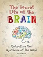 The Secret Life of the Brain