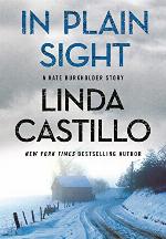 In Plain Sight: A Kate Burkholder Short Mystery