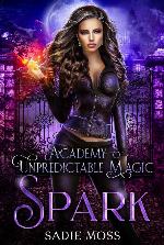 Spark (Academy of Unpredictable Magic Book 1)