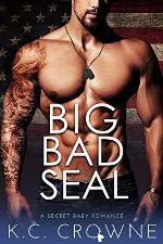 Big Bad SEAL: Mountain Man's Secret Baby Romance (Big Bad Daddies)