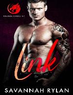 Link (Dragon Riders MC Book 1)