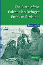 The birth of the Palestinian refugee problem revisited