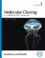 Molecular Cloning - 3rd Edition (C)