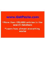 Stock Market Wizards