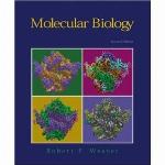 Molecular Biology