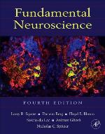 Fundamental Neuroscience