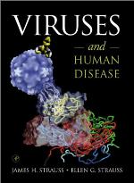 Viruses And Human Disease