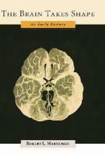 The Brain Takes Shape
