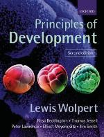 Principles Of Development