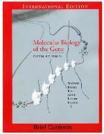 Molecular Biology of the Gene