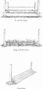 The Georges and the Jewels