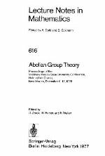 Abelian Group Theory