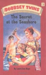The Secret at the Seashore
