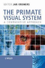 The Primate Visual System